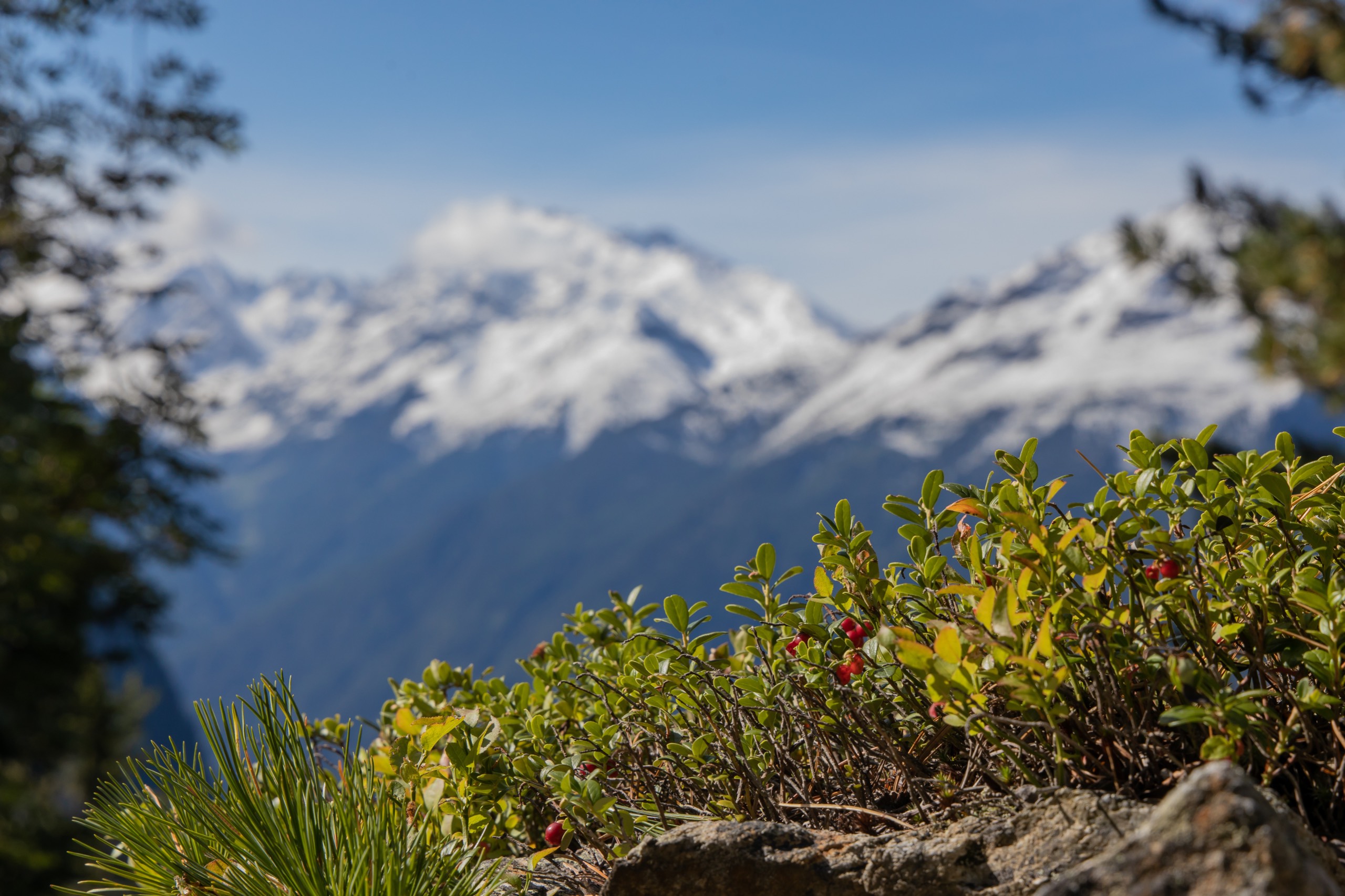 2019-09 - Langenfeld