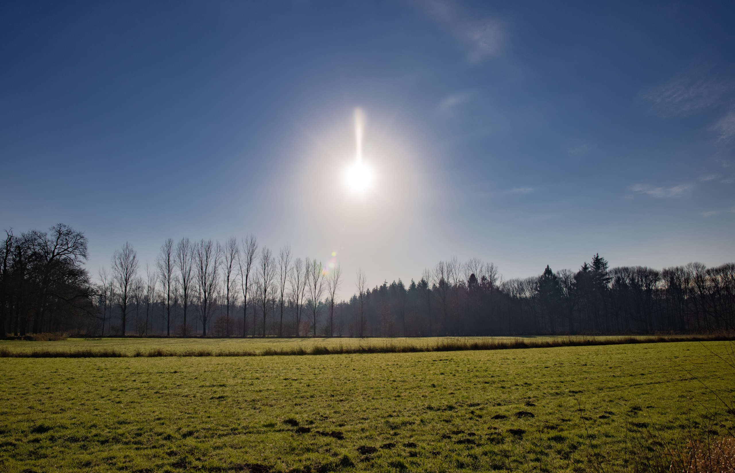 2021-01 - Heilige Eik