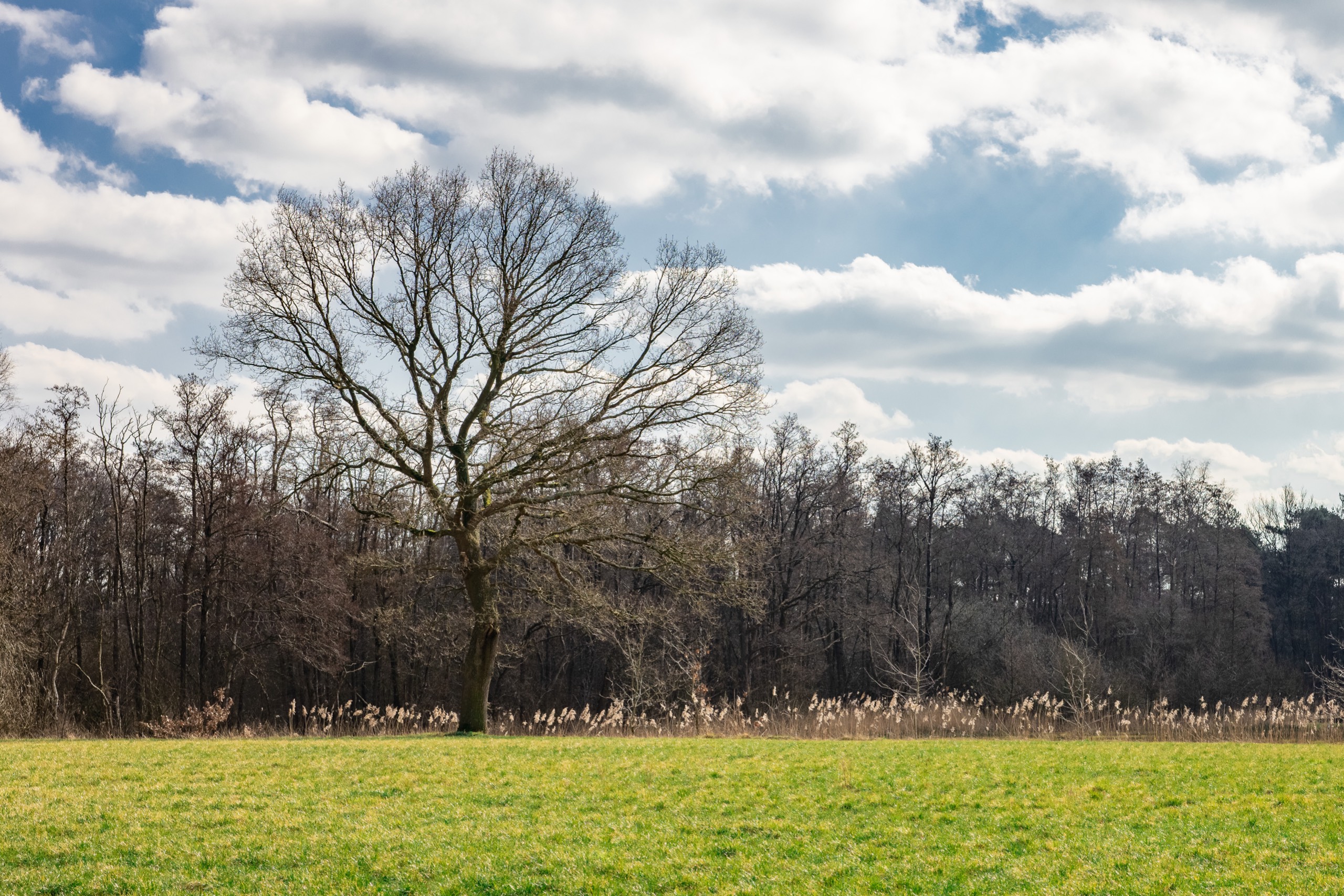 2021-03 - Smokkelpad