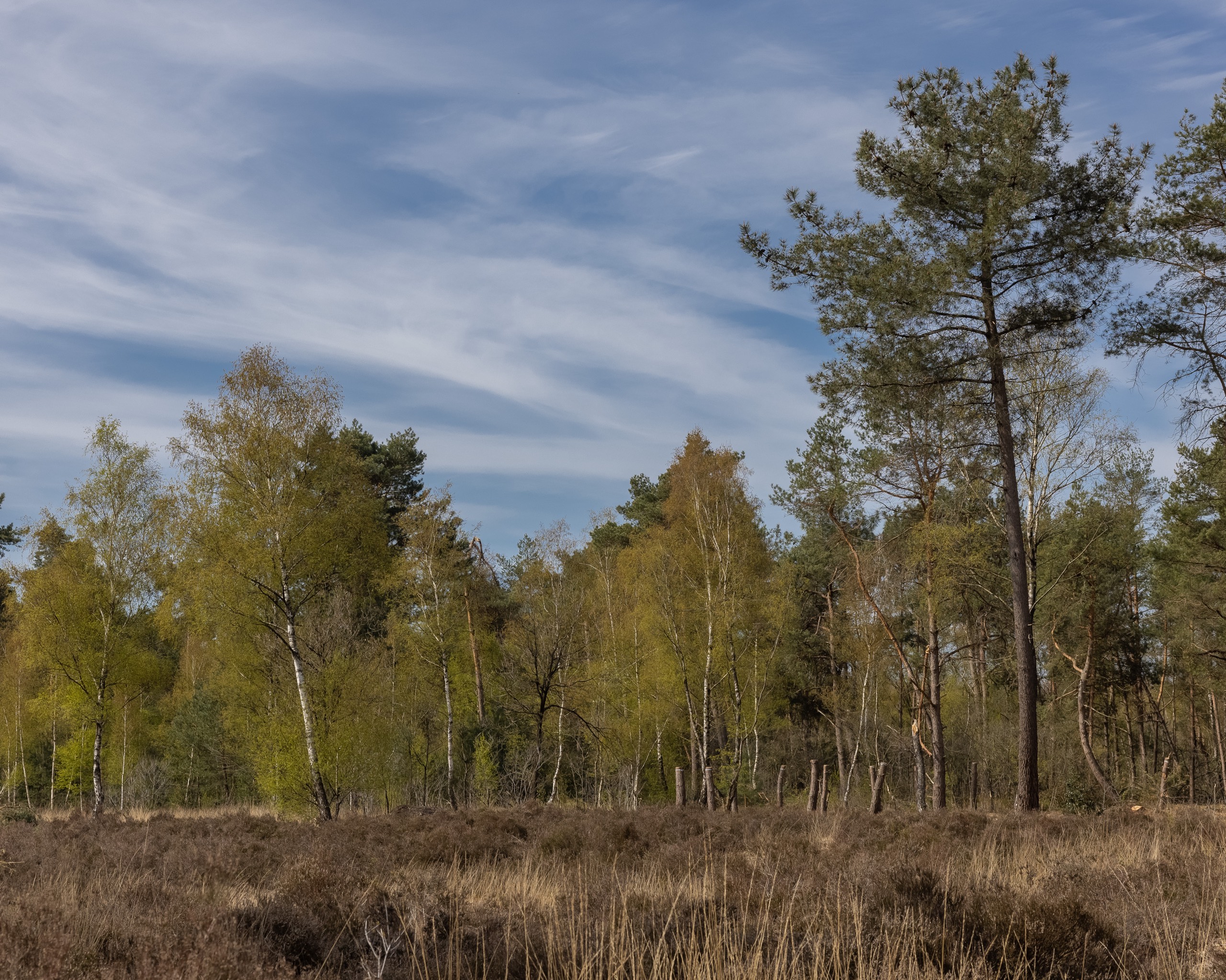 2021-04 - Smokkelpad