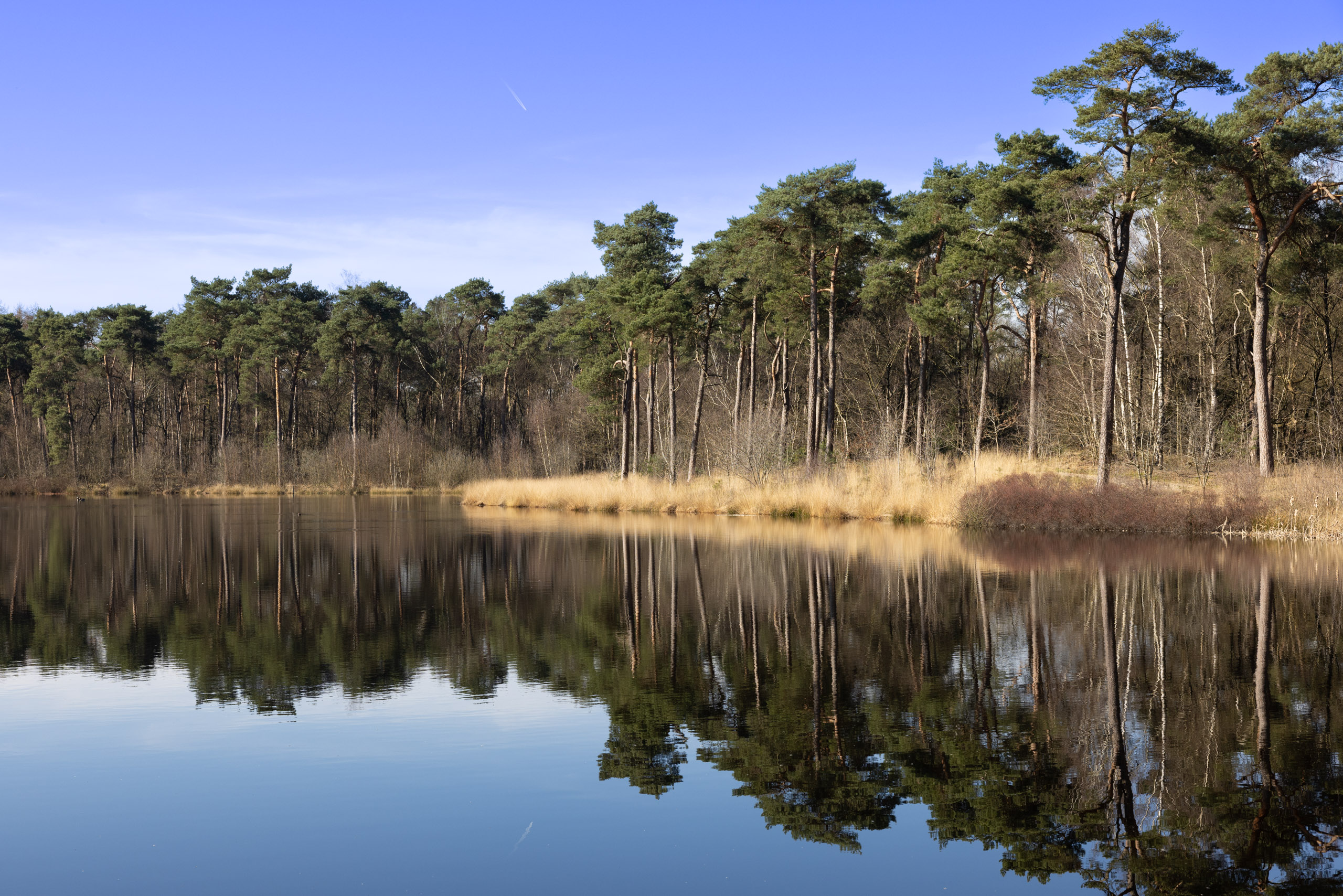 2022-02 - 14 Vennen Oisterwijk