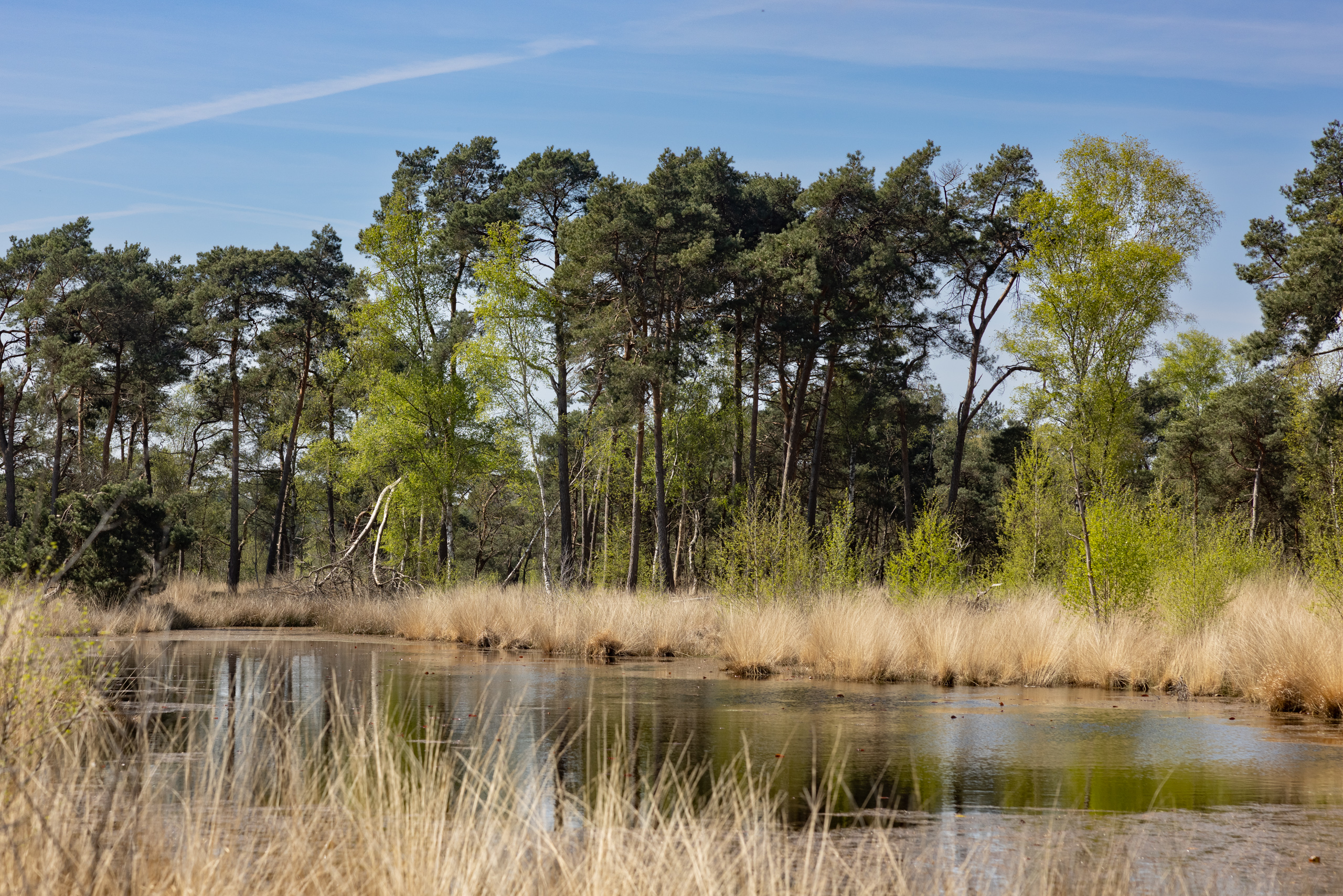 2022-04 - Vresselse Bos